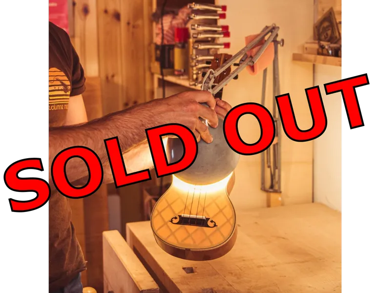 Workshop di acustica per liutai, sold out