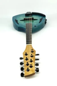 Electric mandolin headstock
